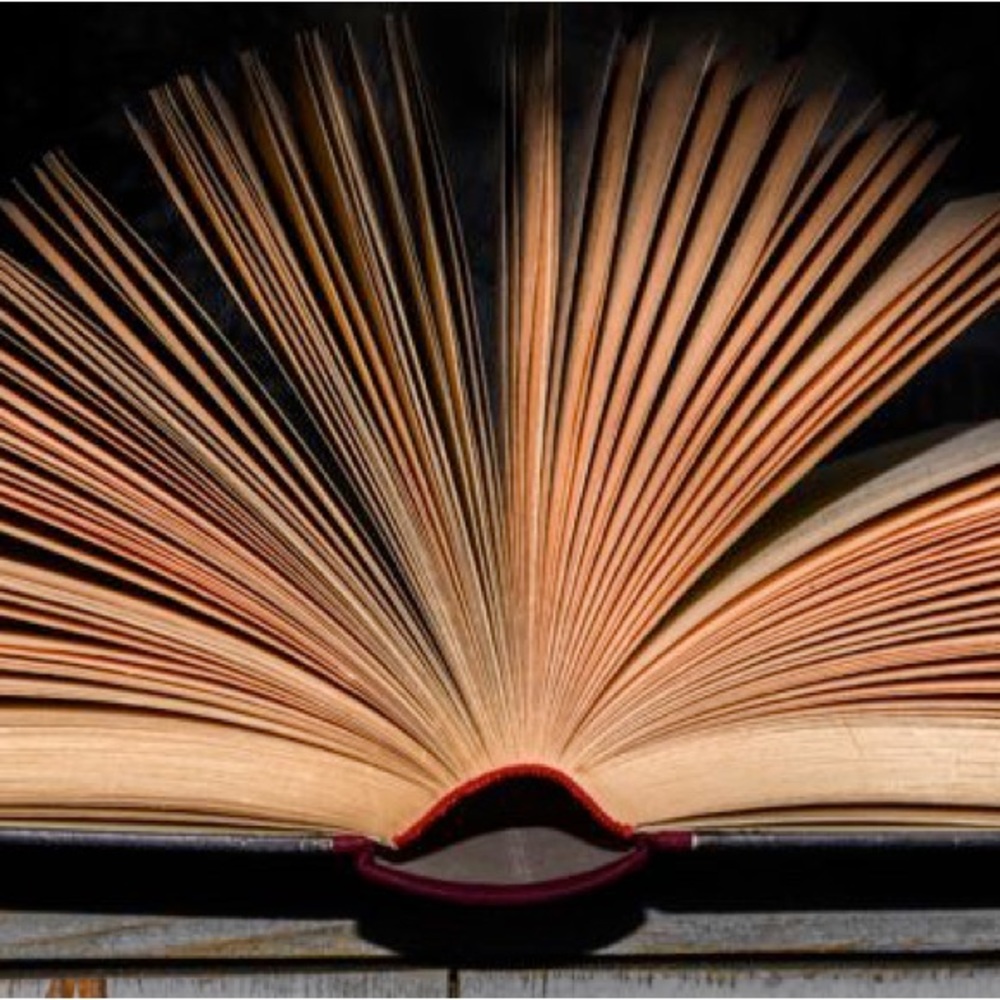 Books. Books. Books. - Picture 4 of 5